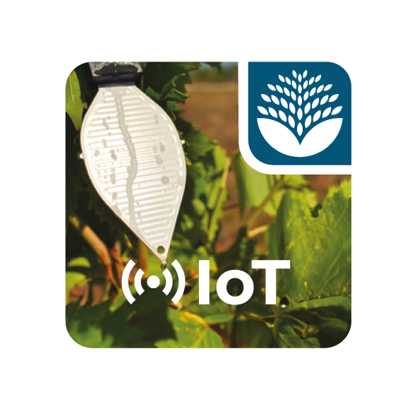 BLULEAF IoT